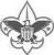 boyscout